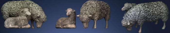 3D модель Пастух и овцы.4 (STL)